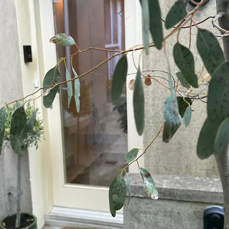 Dun Laoghaire Hidden Getaway